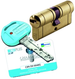 [BSP8DC3131502] Bombillo P8 "C" 62 mm. (31x31) 5 llaves latonado