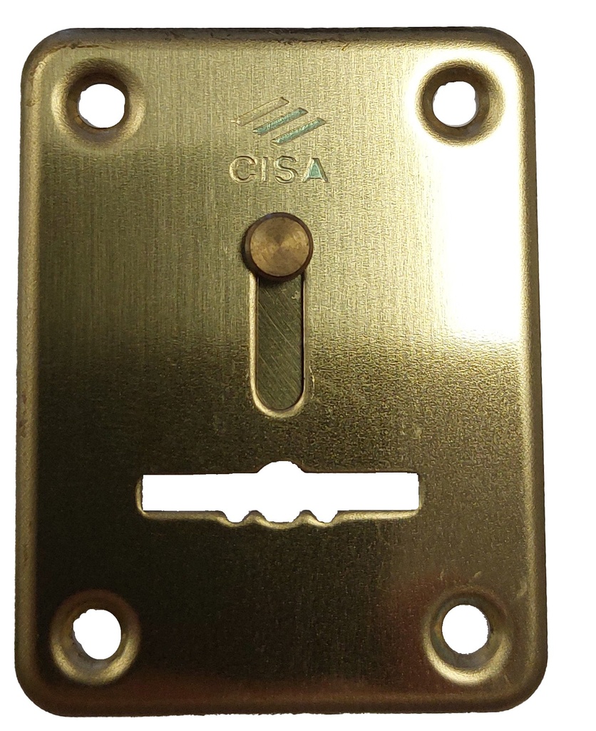 Embellecedor interior protector entrada llave dorado