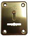 Embellecedor interior protector entrada llave dorado