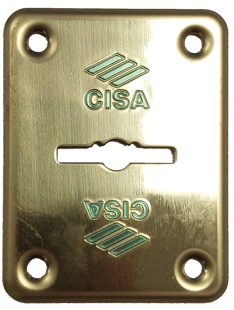 Embellecedor exterior entrada llave dorado