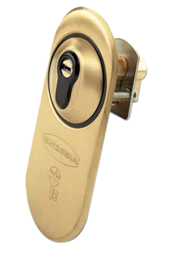 Escudo protector 425-P níquel metalizado