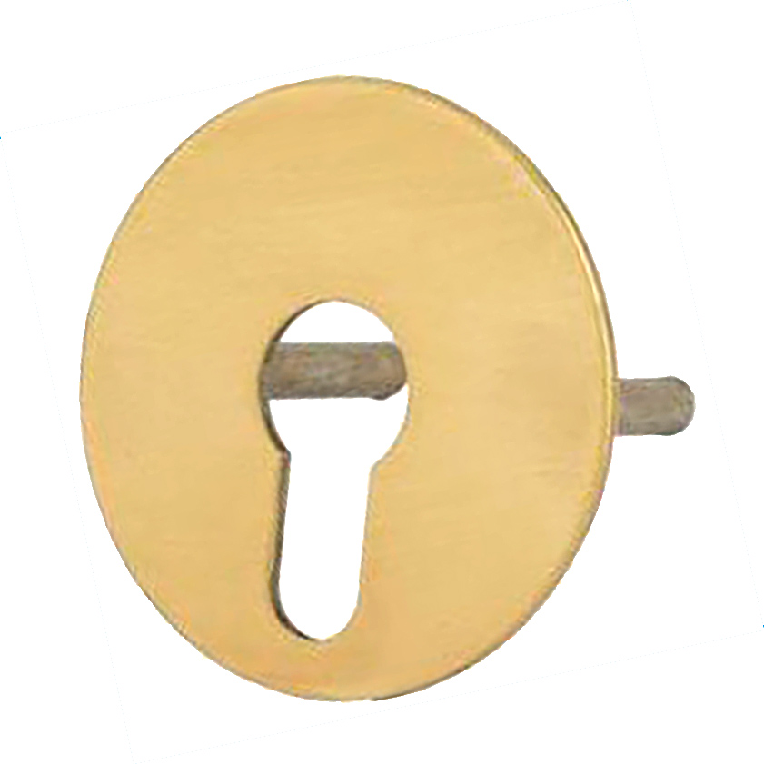 ESCUDO LATON MATE CERRADURA 1561