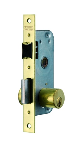 [CE200030HL] Cerradura embutir 120x55x10 aguja 30 mm. cuadradillo-llave TE5 rdo. c.c. 54,50 mm. latonado