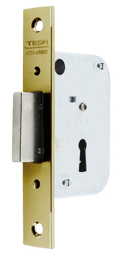 [CE200340HL] Cerradura embutir 75x65 aguja 40 mm. pestillo solo llave borja fte.recto latonada