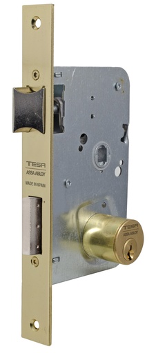 [CE201050HL] Cerradura embutir 128x77 aguja 50 mm. c.c.49,50 golpe-llave bombillo redondo fte.latonado