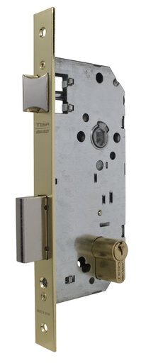 [CE203050HL] Cerradura embutir 175x79x14 aguja 50 mm. golpe-llave c.c.85 mm. fte.recto latonado