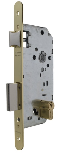 [CE20305RHL] Cerradura embutir 175x79x14 aguja 50 mm.  golpe-llave c.c.85 mm. fte.redondo latonado