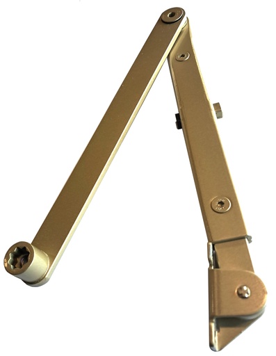 [AM22003001] Brazo retenedor TS 83 plata